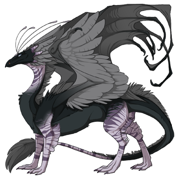 http://flightrising.com/rendern/350/199126/19912571_350.png