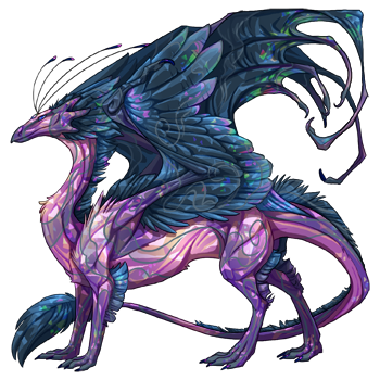 http://flightrising.com/rendern/350/202271/20227067_350.png?mtime=Vpt6WwAC4yM