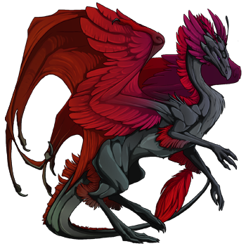 http://flightrising.com/rendern/350/206796/20679596_350.png?mtime=Vq_avQAB53M