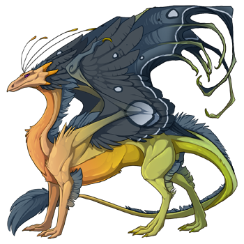 http://flightrising.com/rendern/350/211436/21143577_350.png