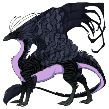 http://flightrising.com/rendern/350/233126/23312586_350.png