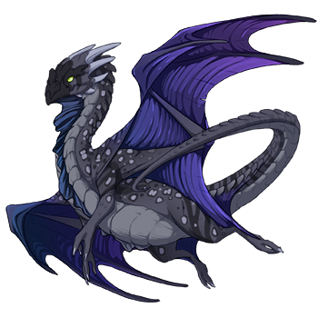 http://flightrising.com/rendern/350/246097/24609645_350.png