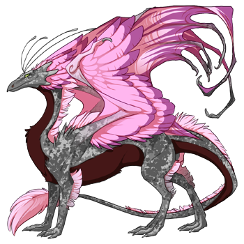 http://flightrising.com/rendern/350/48562/4856109_350.png