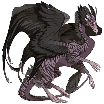 http://flightrising.com/rendern/350/51623/5162204_350.png?mtime=U9JW1QAB2wc