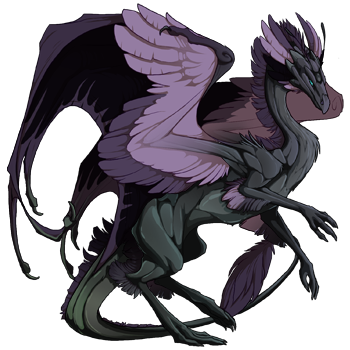 http://flightrising.com/rendern/350/8121/812093_350.png