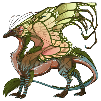 dragon?age=1&body=124&bodygene=18&breed=13&element=7&gender=0&tert=94&tertgene=10&winggene=13&wings=102&auth=003e608662cc4fe5d3e981924f5a1b2eec02f0e9&dummyext=prev.png