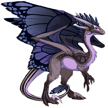 dragon?age=1&body=14&bodygene=15&breed=10&element=7&gender=1&tert=15&tertgene=5&winggene=13&wings=11&auth=02e5ea0dc9be0c230e5fd4f1f875c0017e64d876&dummyext=prev.png