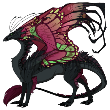 dragon?age=1&body=10&bodygene=8&breed=13&element=10&eyetype=0&gender=0&tert=10&tertgene=11&winggene=13&wings=120&auth=0936554baa1f4c7cf011c99c319daceff1ae80ea&dummyext=prev.png