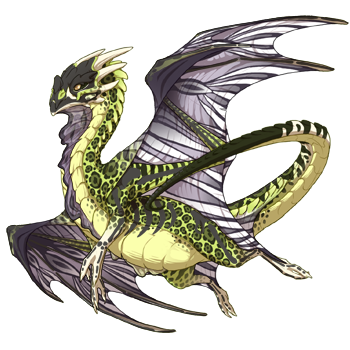 dragon?age=1&body=102&bodygene=19&breed=11&element=1&eyetype=1&gender=0&tert=8&tertgene=20&winggene=22&wings=4&auth=0f6778a8dedc04150c43b5de2892ac8cbddb6461&dummyext=prev.png