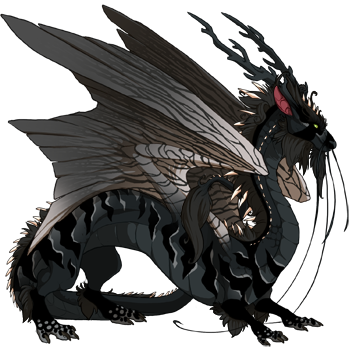 dragon?age=1&body=10&bodygene=16&breed=8&element=3&gender=0&tert=163&tertgene=8&winggene=6&wings=9&auth=10b36572e04150735f5276ebe2fc4a06c5cfde0a&dummyext=prev.png