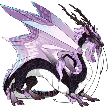 dragon?age=1&body=12&bodygene=19&breed=8&element=7&gender=0&tert=2&tertgene=5&winggene=16&wings=85&auth=12f413f9e931e90db4cc31b4572f632cbd1892cc&dummyext=prev.png