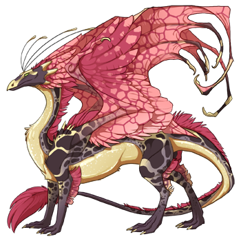 dragon?age=1&body=14&bodygene=11&breed=13&element=3&gender=0&tert=139&tertgene=10&winggene=14&wings=159&auth=1302b816cc4995c5b33559f9200f1c13cca618db&dummyext=prev.png