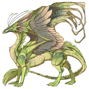 dragon?age=1&body=101&bodygene=20&breed=13&element=8&eyetype=0&gender=0&tert=159&tertgene=12&winggene=20&wings=101&auth=19dd43e6347f18aa1540863ad115f9179ac03527&dummyext=prev.png