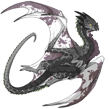 dragon?age=1&body=7&bodygene=12&breed=11&element=8&gender=1&tert=37&tertgene=8&winggene=10&wings=14&auth=30e184d9829862eb8a72c371186540a77e9bd7de&dummyext=prev.png