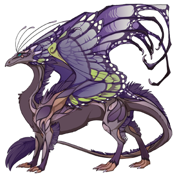 dragon?age=1&body=14&bodygene=13&breed=13&element=5&eyetype=1&gender=0&tert=90&tertgene=0&winggene=13&wings=137&auth=3756fd6cf0f0b8d48a31164938b7141c9e444820&dummyext=prev.png