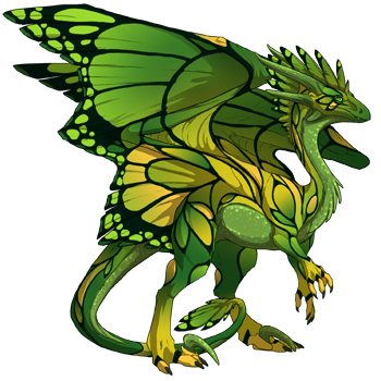 dragon?age=1&body=80&bodygene=13&breed=10&element=10&gender=1&tert=37&tertgene=10&winggene=13&wings=80&auth=37682b429c2b7730bce310eaa294f3f67cba0536&dummyext=prev.png