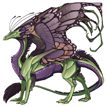 dragon?age=1&body=144&bodygene=17&breed=13&element=7&eyetype=1&gender=0&tert=119&tertgene=10&winggene=13&wings=14&auth=40fbc798c47db2c12d7cfa99bbdc08bc0c859922&dummyext=prev.png