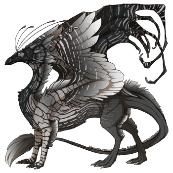 dragon?age=1&body=9&bodygene=5&breed=13&element=6&gender=0&tert=10&tertgene=19&winggene=21&wings=9&auth=46b277388533d29d141ec307f6996c44e74a39af&dummyext=prev.png