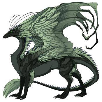 dragon?age=1&body=176&bodygene=6&breed=13&element=10&gender=0&tert=126&tertgene=8&winggene=6&wings=153&auth=48967352c9bbc63af6a4e54c5dc77ce302a57581&dummyext=prev.png