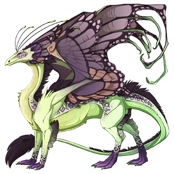 dragon?age=1&body=144&bodygene=1&breed=13&element=7&eyetype=1&gender=0&tert=119&tertgene=14&winggene=13&wings=14&auth=4d0b3d04f4ded64e40ee023ba5039a83f73a2bff&dummyext=prev.png