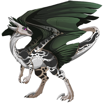 dragon?age=1&body=9&bodygene=11&breed=10&element=9&gender=0&tert=74&tertgene=10&winggene=1&wings=176&auth=543931e149bb79b6b986e495b8966690161dd87c&dummyext=prev.png