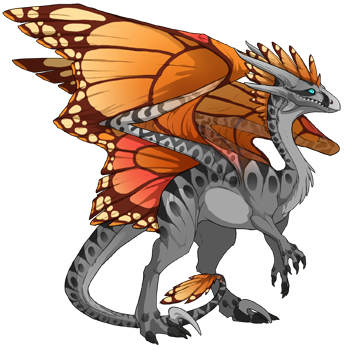 dragon?age=1&body=6&bodygene=8&breed=10&element=5&gender=1&tert=3&tertgene=0&winggene=13&wings=46&auth=545106434092a838fa168f25a9b1639edb1abc29&dummyext=prev.png