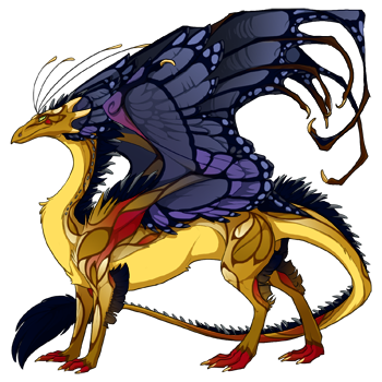 dragon?age=1&body=103&bodygene=13&breed=13&element=3&gender=0&tert=129&tertgene=8&winggene=13&wings=11&auth=55eadcb1811b7f736b2d4960e0b4ddf236042f39&dummyext=prev.png