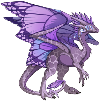 dragon?age=1&body=14&bodygene=12&breed=10&element=6&eyetype=6&gender=1&tert=16&tertgene=12&winggene=13&wings=15&auth=625dde5bd407b18191ae52d30b7ee8ee8f2cc6b8&dummyext=prev.png