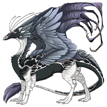 dragon?age=1&body=10&bodygene=11&breed=13&element=7&gender=0&tert=2&tertgene=9&winggene=1&wings=98&auth=6d6d826a270e8fd87d194bebb0bd60c73ecfe34a&dummyext=prev.png