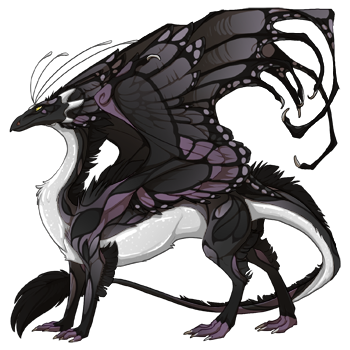 dragon?age=1&body=9&bodygene=13&breed=13&element=8&gender=0&tert=2&tertgene=10&winggene=13&wings=9&auth=6dc94bf99a93a4753c8e7886b6d8bcd29fb250a1&dummyext=prev.png