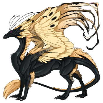 dragon?age=1&body=10&bodygene=17&breed=13&element=9&eyetype=0&gender=0&tert=20&tertgene=0&winggene=24&wings=44&auth=77d95c74c306e79b42617ceea02d76cd97b69655&dummyext=prev.png