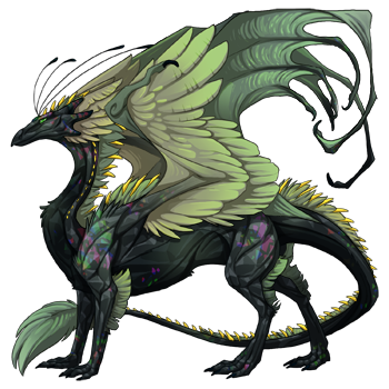 dragon?age=1&body=10&bodygene=7&breed=13&element=10&gender=0&tert=42&tertgene=8&winggene=1&wings=36&auth=7bf466c62452f303dfcbe72e016b223a3d5a2598&dummyext=prev.png