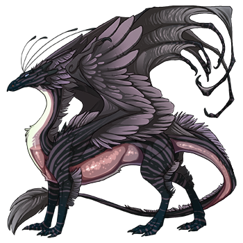 dragon?age=1&body=10&bodygene=21&breed=13&element=6&eyetype=1&gender=0&tert=14&tertgene=18&winggene=1&wings=177&auth=86770c8e7c823aa1bd415436c5939b335e2dfb0d&dummyext=prev.png