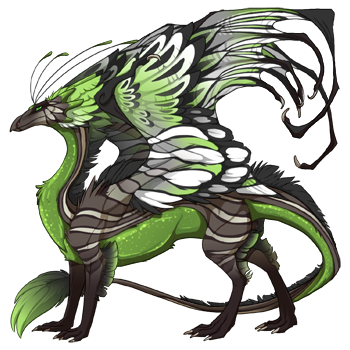 dragon?age=1&body=53&bodygene=22&breed=13&element=10&eyetype=0&gender=0&tert=37&tertgene=10&winggene=22&wings=74&auth=885abb1b64f4eb4935f2717de68ac975843e6005&dummyext=prev.png