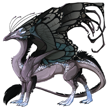 dragon?age=1&body=177&bodygene=1&breed=13&element=6&gender=0&tert=3&tertgene=14&winggene=13&wings=10&auth=8af6a7c48447267c3938d92b0f2de3af9da1c5d0&dummyext=prev.png