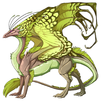 dragon?age=1&body=143&bodygene=1&breed=13&element=9&eyetype=0&gender=0&tert=144&tertgene=10&winggene=11&wings=155&auth=92d7bf3f8282f39404ae2654bb3798fc82993e1b&dummyext=prev.png