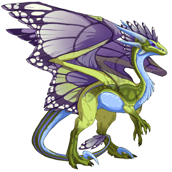 dragon?age=1&body=102&bodygene=15&breed=10&element=7&gender=1&tert=23&tertgene=10&winggene=13&wings=137&auth=92ef46f9b4210c183cca9ad6605caf04948996be&dummyext=prev.png