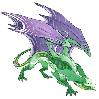 dragon?age=1&body=31&bodygene=15&breed=3&element=6&gender=0&tert=2&tertgene=13&winggene=21&wings=15&auth=a3a276675d95546b7c2bedbf3d6db753f992c574&dummyext=prev.png