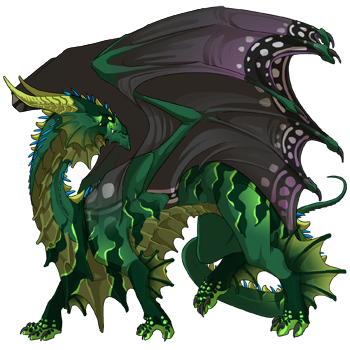 dragon?age=1&body=33&bodygene=16&breed=2&element=3&gender=1&tert=28&tertgene=8&winggene=16&wings=9&auth=adaa7c31d369686dcf718fcb12495a5382364866&dummyext=prev.png