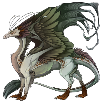 dragon?age=1&body=5&bodygene=1&breed=13&element=8&gender=0&tert=56&tertgene=14&winggene=1&wings=9&auth=adc852dbe9831ba2f5bdcfed132959b7a5a36041&dummyext=prev.png