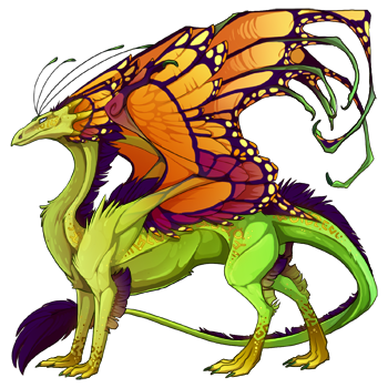 dragon?age=1&body=39&bodygene=1&breed=13&element=6&gender=0&tert=93&tertgene=14&winggene=13&wings=172&auth=b13ac32a66a2ae879f84d8851e2cc91b6c1f64e1&dummyext=prev.png