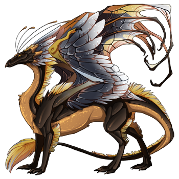 dragon?age=1&body=70&bodygene=17&breed=13&element=11&gender=0&tert=50&tertgene=10&winggene=20&wings=140&auth=b3e1bc3c1ba2c30caa73fcb8cc69bb882879ac5d&dummyext=prev.png