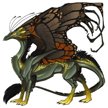 dragon?age=1&body=36&bodygene=17&breed=13&element=7&eyetype=0&gender=0&tert=42&tertgene=14&winggene=13&wings=8&auth=b610f92347d8423b12042a1804b10f0b92b9a16a&dummyext=prev.png