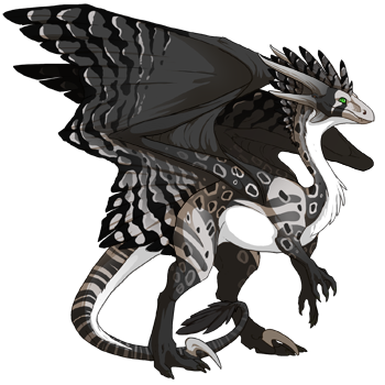 dragon?age=1&body=9&bodygene=3&breed=10&element=10&gender=1&tert=2&tertgene=5&winggene=11&wings=9&auth=c16b9c4c2af918c4c7dc3714902b89ade2b31019&dummyext=prev.png