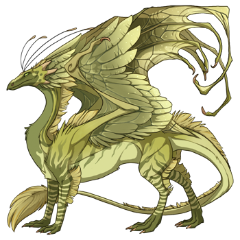 dragon?age=1&body=40&bodygene=18&breed=13&element=3&gender=0&tert=144&tertgene=12&winggene=20&wings=41&auth=c3fbcced300687ea5e7db0df35257c692ee6c77b&dummyext=prev.png