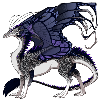 dragon?age=1&body=146&bodygene=19&breed=13&element=7&eyetype=1&gender=0&tert=147&tertgene=8&winggene=13&wings=11&auth=c6c697d8bfe1561ce1c29aee5864abd651aa1640&dummyext=prev.png