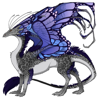 dragon?age=1&body=6&bodygene=19&breed=13&element=1&gender=0&tert=6&tertgene=14&winggene=13&wings=19&auth=ca877e0ab4155b2e70443182bffdf92cbd0604f6&dummyext=prev.png