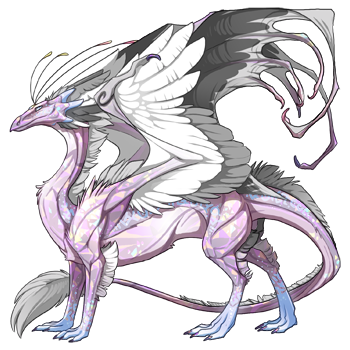 dragon?age=1&body=4&bodygene=7&breed=13&element=6&gender=0&tert=3&tertgene=14&winggene=5&wings=74&auth=ceb9d9fcffb9123f0838bf0dadc2e69a3534dbbe&dummyext=prev.png