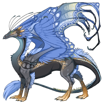 dragon?age=1&body=129&bodygene=15&breed=13&element=3&gender=0&tert=44&tertgene=14&winggene=16&wings=23&auth=d3a8b80911f84b38433bbbf5a00cd53f35a59a87&dummyext=prev.png