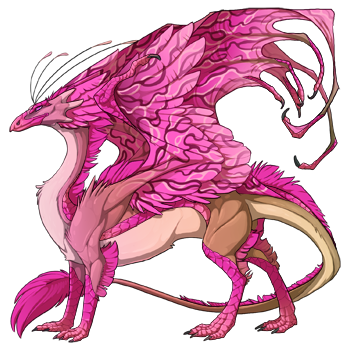 dragon?age=1&body=64&bodygene=1&breed=13&element=9&eyetype=0&gender=0&tert=65&tertgene=15&winggene=15&wings=65&auth=d690a700aa854e35327b43c873e5114d0326c801&dummyext=prev.png